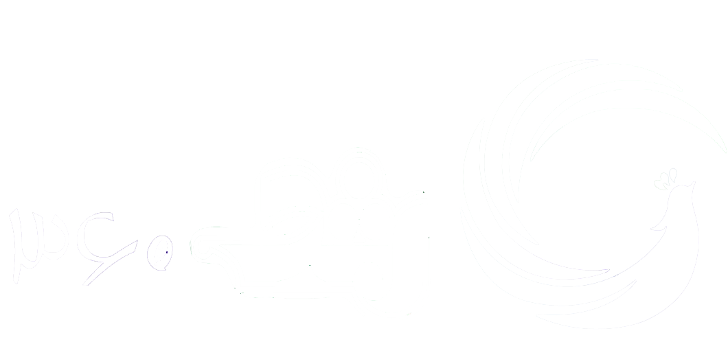 logo-text-tr-white